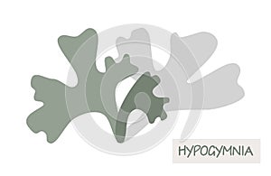 Gray lichen hypogymnia logo icon