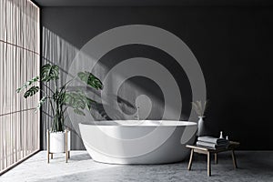 Gray and light wood bathroom interior with tub
