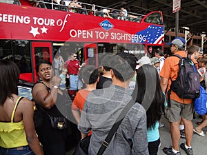 Gray Line Sightseeing Bus