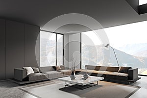 Gray living room corner with sofas and table