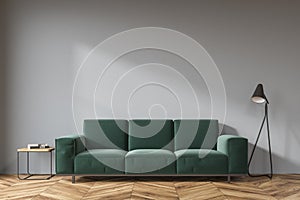 Gray living room, dark green sofa