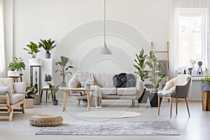 Gray living room interior