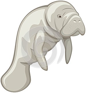 Gray Manatee Against White Background