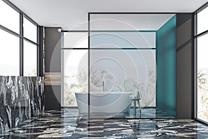 Gray marble bathroom interior with tub