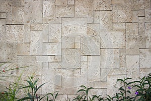 Gray marble wall with bush