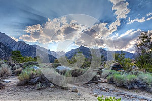 Gray Mountain area-Inyo National Forest-California.