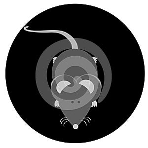 Gray mouse icon.  Wild gray animal rodent.