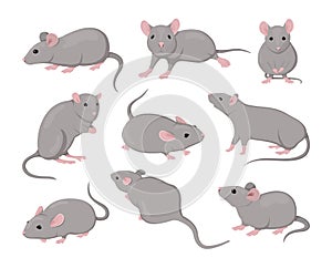 Gray mouse. Small animals. Rodents actions. Cute isolated icons set. Asian zodiac creature design drawing. Flat fur pets