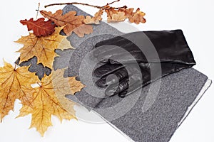 Gray neckscarf and gloves with yellow maple and oak leaves on white background