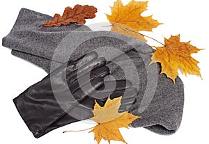 Gray neckscarf and gloves with yellow maple and oak leaves on white background