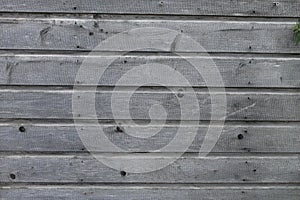 Gray old board wall