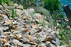 Gray old boulders on hillside