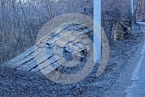 Gray old broken fence from wooden boards in the wall overgrown with dry vegetation and grass