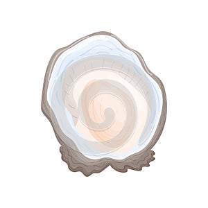 Gray open oyster shell with multicolored beacon. Vector illustration on white background.