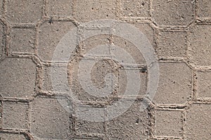 Gray Paving Slabs, Sidewalk Coverage. Seamless Tileable Texture.