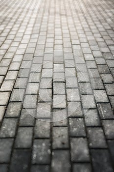 Gray paving stone path goes away the prospect in sunset