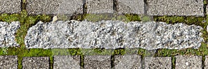 Gray paving stones with moss. Panorama