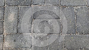 Gray paving stones with a rough texture forming a pattern.