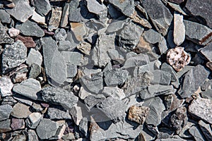Gray pebbles as backfilling a path