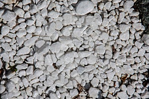 Gray pebbles as backfilling a path