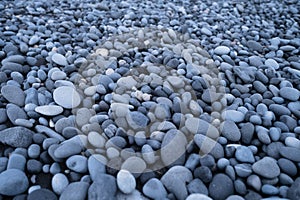 Gray pebbles as a background. Round stones on the beach.