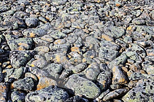 Gray pebbles background