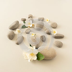 Gray pebbles and white flowers jasmine on bright background. Zen like concept. Stone spa concept