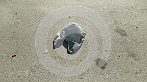 gray plastic bag lying on the street and moving in the wind.