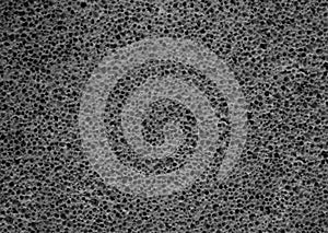 Gray pumice stone texture close up. Porous pumice background