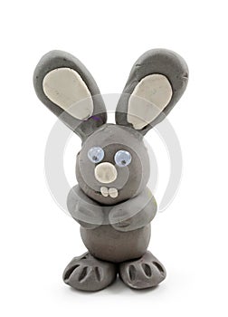 Gray rabbit