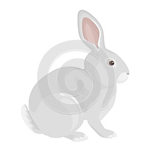 Gray rabbit isolated on a white background. Vector illustration of a domestic farm animal