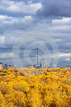 Gray rainy clouds over lush yellow forest and city