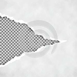 Gray ripped open paper with transparent background. Torn paper sheet. Torn paper edge. Paper texture. Vector illustration