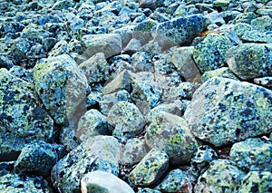 Gray rocks