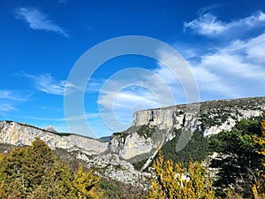 Gray rocks with trees