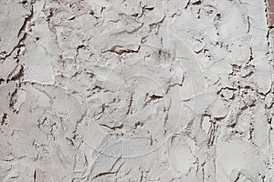 Gray Rough Plaster Gypsum Texture Structure