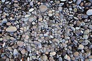 Gray round stones and pebbles on a beach.