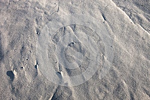Gray sand surface