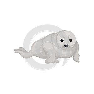 Gray seal pup lying isolated on white background. Animal of Arctic or Atlantic ocean. Marine mammal. Flat vector icon