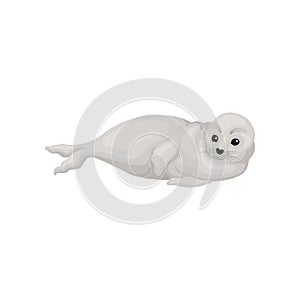 Gray seal pup lying on its side. Animal of Arctic or Atlantic ocean. Cute marine mammal. Flat vector icon