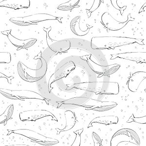 Gray seamless ocean patterns with Sperm whale / Cachalot on white background