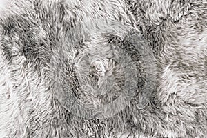 Gray sheep fur Grey sheepskin rug background texture