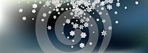 Gray Snowflake Panoramic Vector Gray Background