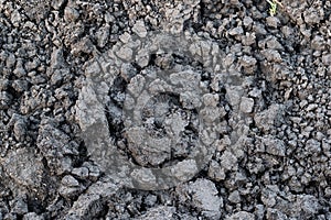 Gray soil, soil clod, dry soil, soil lump