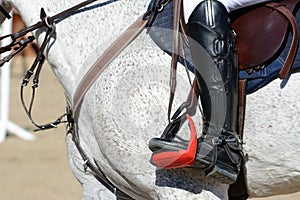 Gray sport horse and rider on gallop. Horse show jumping in details.