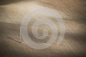 Gray spring field abstract background