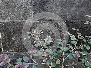 Gray Stone Bricks Wall Texture - Abstract Stone Brick Background Stock Photos