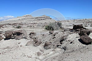 Gray stone desert photo