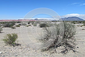 Gray stone desert photo