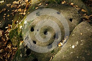 Gray stone with many small round holes in the forest, in the reserve Devil`s Fort in the Kaluga region. The name of the stone`s fi